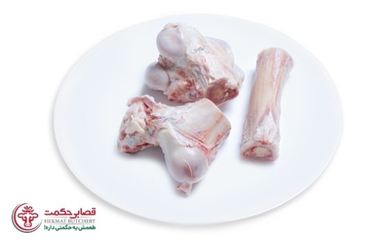 قلم گوسفند