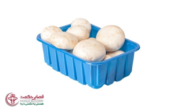 قارچ 400 گرمی